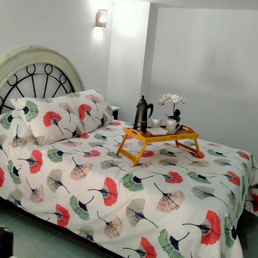 Precioso Loft En Conil De La Frontera